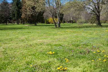 Arka Bahçe bahar ve Bahçe