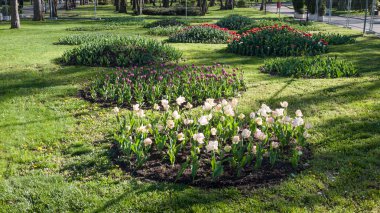 Arka Bahçe bahar ve Bahçe