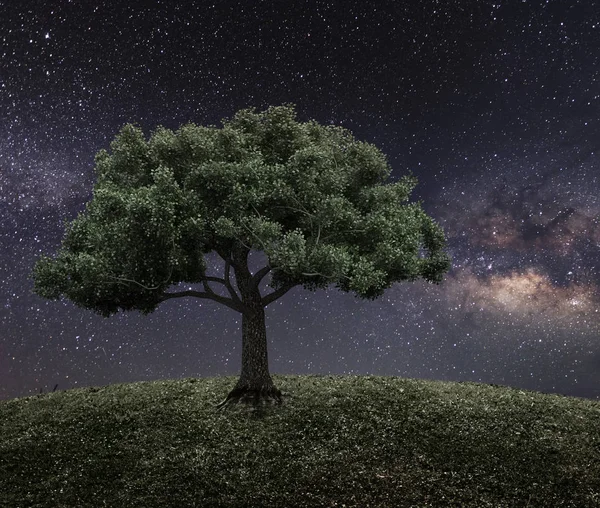 Nattlig himmel landskap — Stockfoto