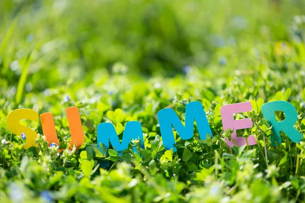 Groen gras en zomerbloemen — Stockfoto