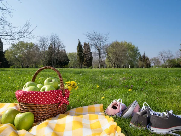 Cesta de picnic y manta — Foto de Stock