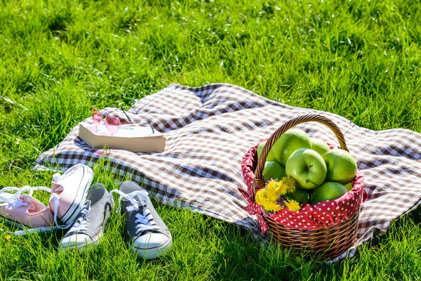 Picknickmand en deken — Stockfoto