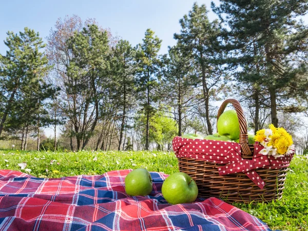 Picknickkorb und Decke — Stockfoto
