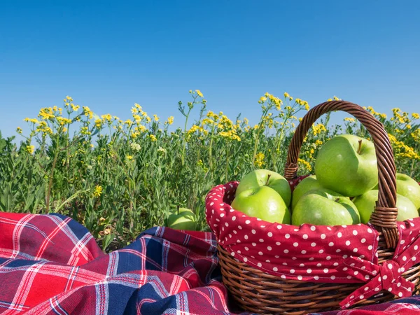 Coș de picnic și pătură — Fotografie, imagine de stoc