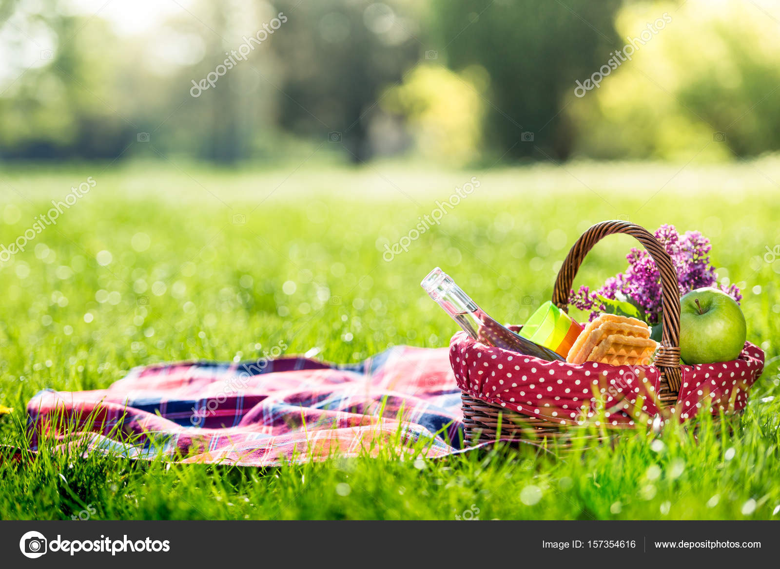 Picnic Pussy