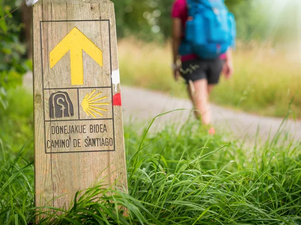 Pielgrzymki na Camino de Santiago — Zdjęcie stockowe