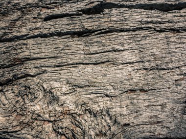 eski tahta arkaplan dokusu