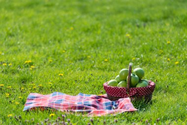 Piknik sepeti ve battaniye