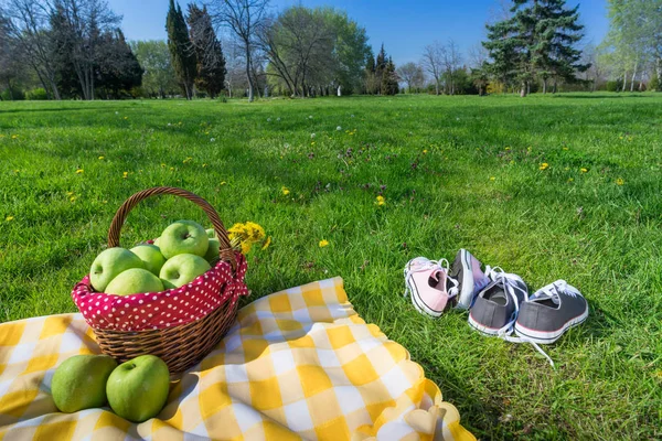 Kosz piknikowy i koc — Zdjęcie stockowe