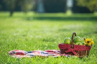 Piknik sepeti ve battaniye