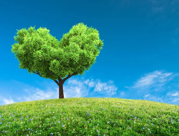 Green spring landscape — Stock Photo, Image