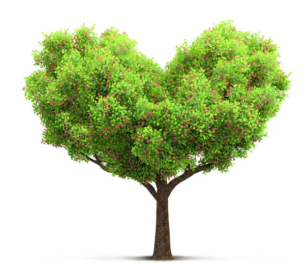 Arbre fleuri en forme de coeur Illustration 3D — Photo