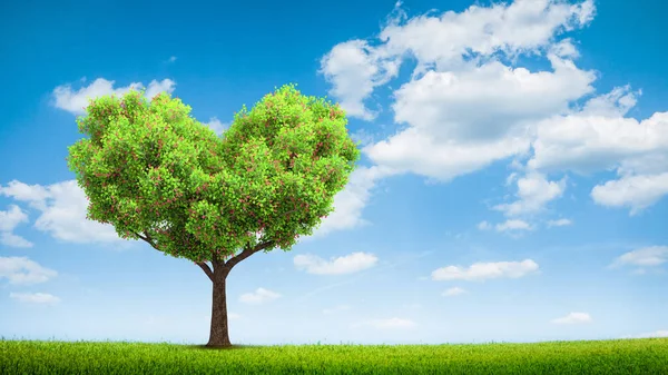 Summer green field landscape — Stock Photo, Image