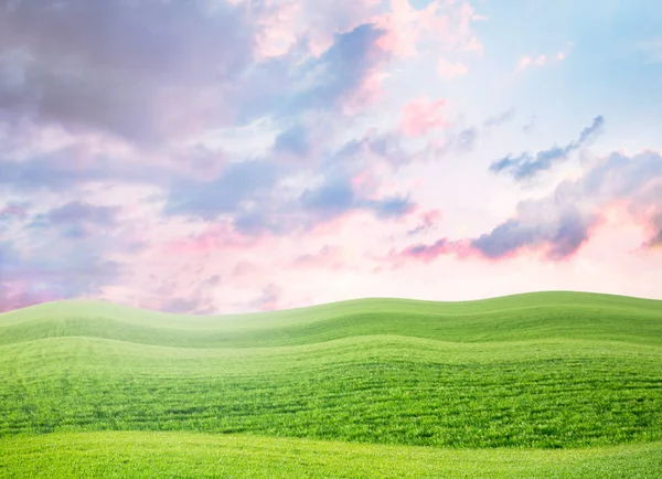 Zomer groene veld landschap — Stockfoto