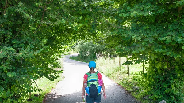 Kvinne som går på Camino de Santiago – stockfoto