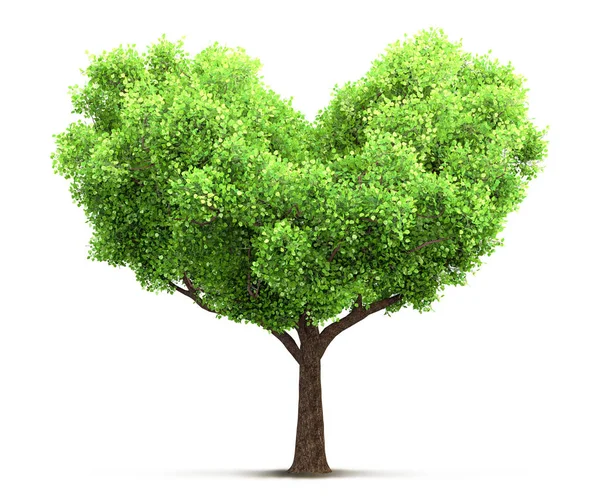 Tree in heart shape 3D illustration — Stock Photo, Image