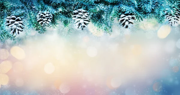 Christmas background with snowy fir branches — Stock Photo, Image