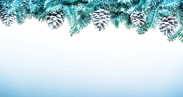 Christmas Background Snowy Fir Branches — Stock Photo, Image