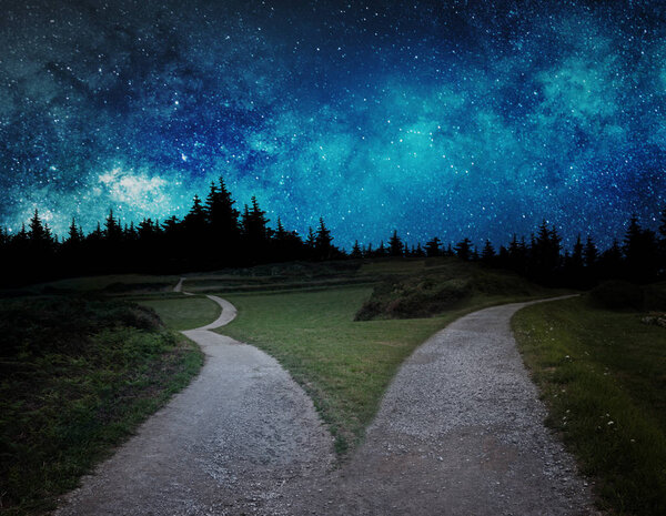 fork in the road at night lost in the forest and the wilderness 