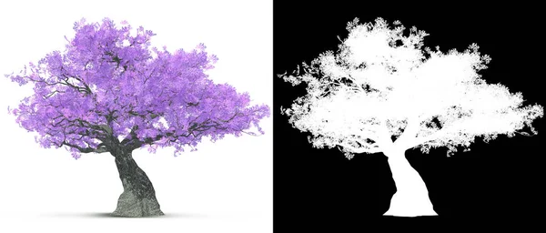 Árbol de flor lila púrpura aislado con máscara alfa para facilitar iso —  Fotos de Stock