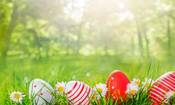 Çim ve çiçek arka planda paskalya yumurtaları — Stok fotoğraf