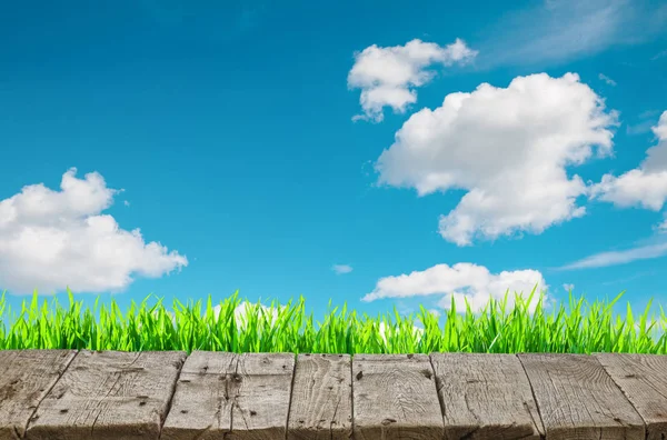 Old grunge wooden floor and grass background — Stock Photo, Image