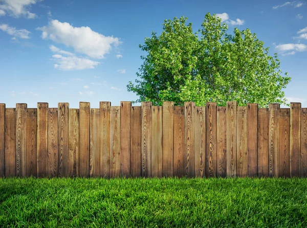 Árbol en jardín y cerca del patio trasero de madera con hierba —  Fotos de Stock