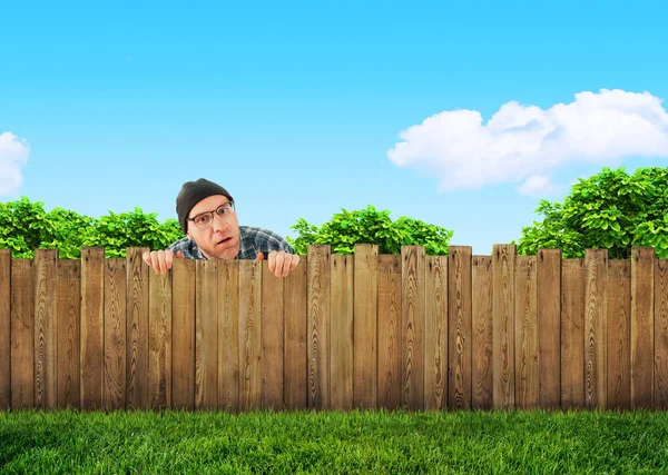 curious neighbor behind backyard fence