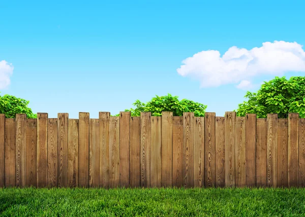 Träd i trädgård och trä bakgård staket med gräs — Stockfoto
