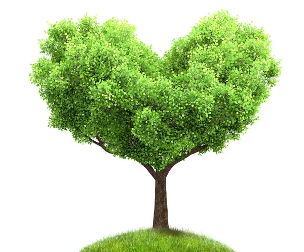 Зеленое дерево в форме сердца 3D иллюстрация, концепция окружающей среды — стоковое фото