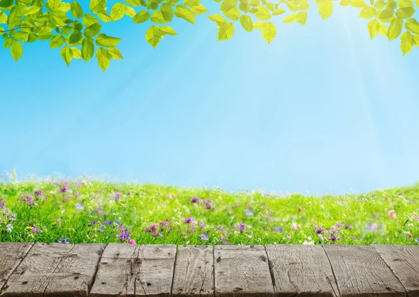 Voorjaarsweide met bloemen en oude grunge houten vloer — Stockfoto