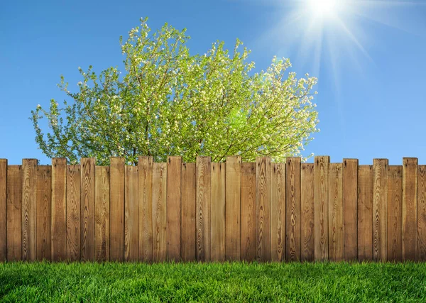 Wooden Garden Fence Backyard Bloom Tree Spring — Stock Photo, Image