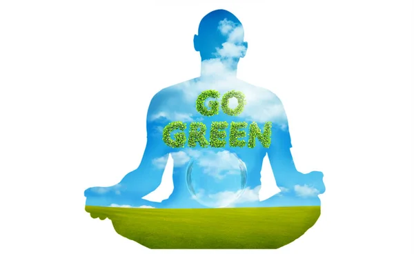 Grünes Licht Für Globale Nachhaltige Entwicklung Zur Rettung Der Umwelt — Stockfoto
