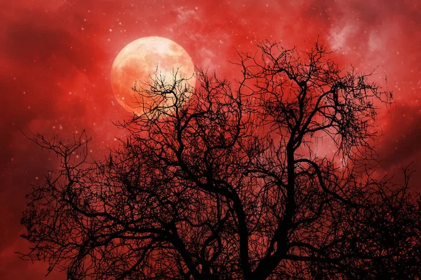 Halloween Fundo Com Lua Vermelha Árvore Morta — Fotografia de Stock