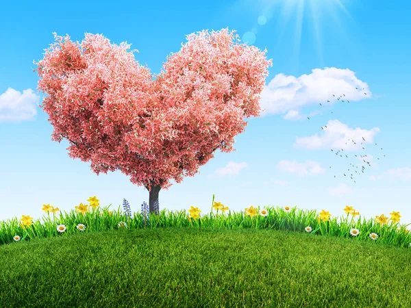 Green Grass Spring Flowers Backyard Bloom Tree Shape Heart — Stock Photo, Image