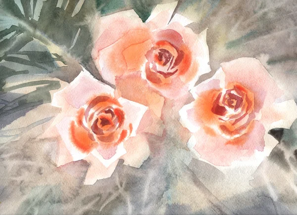 花水彩插图。柔和的颜色。玫瑰。春天。夏季 — 图库照片