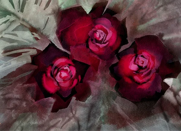 Fleurs aquarelle illustration. Des roses. Sombre — Photo