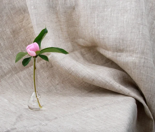 Romântico Ainda Vida Com Flores — Fotografia de Stock