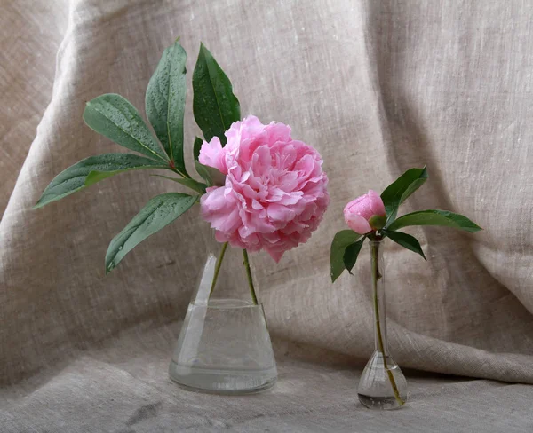 Romantic still life with flowers