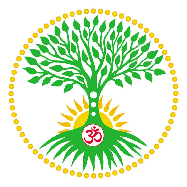 Yaşam ağacı yeşilde, güneşe karşı mandala dairesi şeklinde. Ruhani sembolik sembol. Vektör sanat grafikleri.