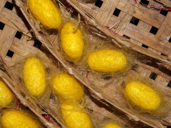 Yellow Silk Worm Cocoons Basket — Stock Photo, Image