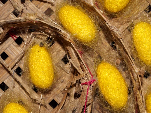 Yellow Silk Worm Cocoons Basket — Stock Photo, Image