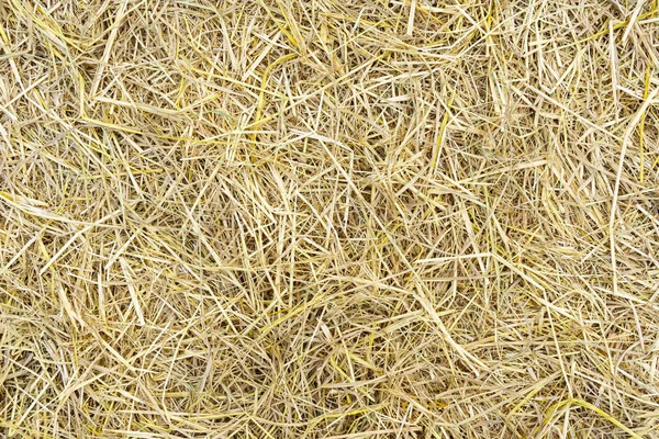 Pile Riso Secco Chaff Superficie Texture Fondo — Foto Stock