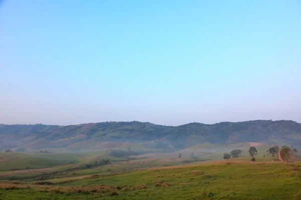 曇りの青空と緑のサバンナ林 — ストック写真