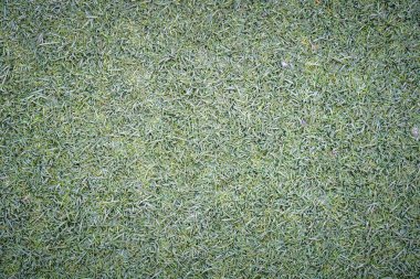 Sahte yeşil çim çim yüzey dokusunu arka plan