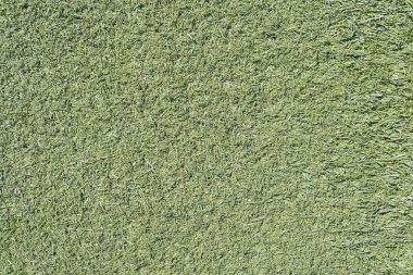 Sahte yeşil çim çim yüzey dokusunu arka plan