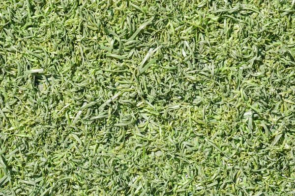 Зеленый Поддельные Травы Поверхности Поверхности Текстуры — стоковое фото