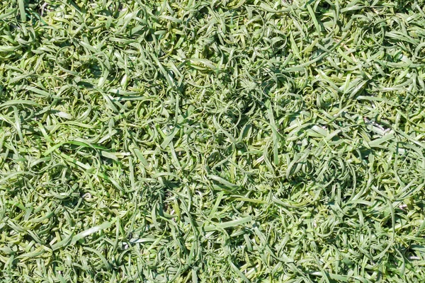 Green Fake Grass Turf Surface Texture Background — Stock Photo, Image