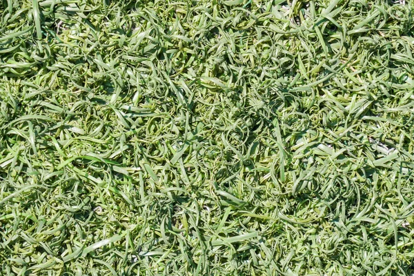 偽の緑の草芝表面テクスチャ背景 — ストック写真