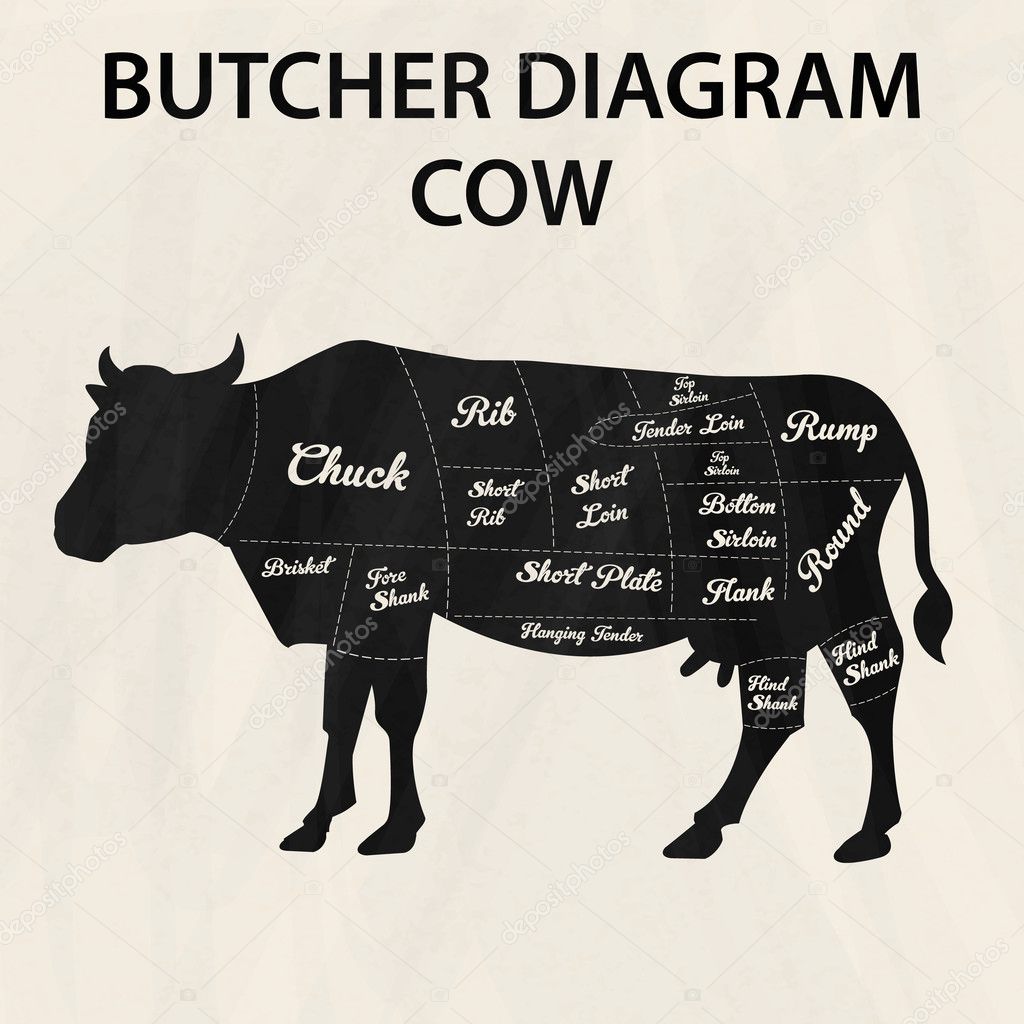 Illustration of Beef Cuts Chart cow.
